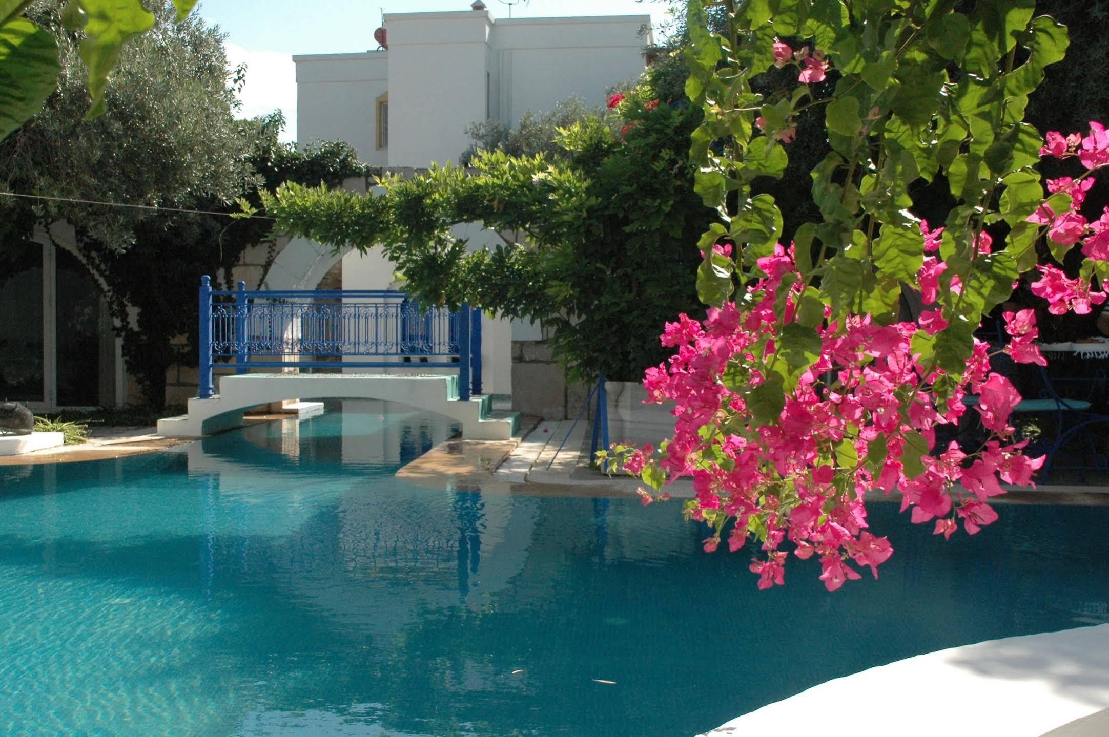 Villa Oliva Butik Hotel Konacik Bagian luar foto